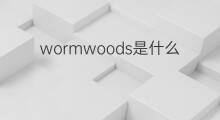 wormwoods是什么意思 wormwoods的中文翻译、读音、例句