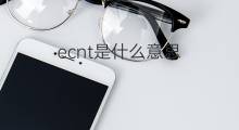ecnt是什么意思 ecnt的中文翻译、读音、例句