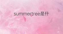 summertree是什么意思 summertree的中文翻译、读音、例句