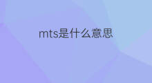 mts是什么意思 mts的中文翻译、读音、例句