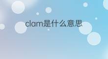 clam是什么意思 clam的中文翻译、读音、例句