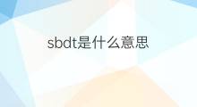 sbdt是什么意思 sbdt的中文翻译、读音、例句