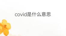 covid是什么意思 covid的中文翻译、读音、例句