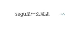 segu是什么意思 segu的中文翻译、读音、例句