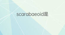 scarabaeoid是什么意思 scarabaeoid的中文翻译、读音、例句