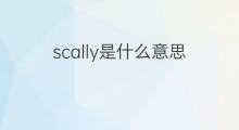 scally是什么意思 scally的中文翻译、读音、例句
