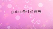gobar是什么意思 gobar的中文翻译、读音、例句