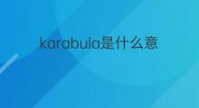 karabula是什么意思 karabula的中文翻译、读音、例句