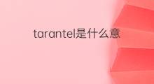 tarantel是什么意思 tarantel的中文翻译、读音、例句