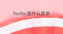 fiedler是什么意思 fiedler的中文翻译、读音、例句