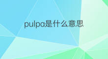 pulpa是什么意思 pulpa的中文翻译、读音、例句