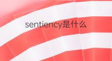 sentiency是什么意思 sentiency的中文翻译、读音、例句