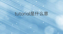 tutorial是什么意思 tutorial的中文翻译、读音、例句