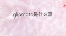 gliomata是什么意思 gliomata的中文翻译、读音、例句