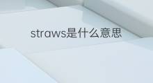 straws是什么意思 straws的中文翻译、读音、例句