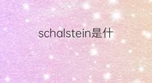 schalstein是什么意思 schalstein的中文翻译、读音、例句