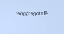 reaggregate是什么意思 reaggregate的中文翻译、读音、例句
