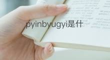 pyinbyugyi是什么意思 pyinbyugyi的中文翻译、读音、例句