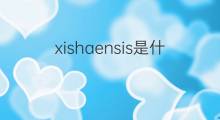 xishaensis是什么意思 xishaensis的中文翻译、读音、例句