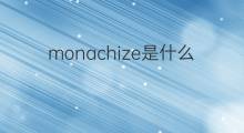 monachize是什么意思 monachize的中文翻译、读音、例句