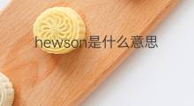 hewson是什么意思 hewson的中文翻译、读音、例句
