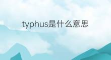 typhus是什么意思 typhus的中文翻译、读音、例句