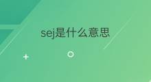sej是什么意思 sej的中文翻译、读音、例句