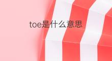 toe是什么意思 toe的中文翻译、读音、例句