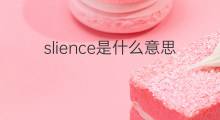 slience是什么意思 slience的中文翻译、读音、例句