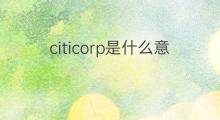 citicorp是什么意思 citicorp的中文翻译、读音、例句