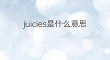 juicies是什么意思 juicies的中文翻译、读音、例句