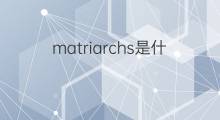 matriarchs是什么意思 matriarchs的中文翻译、读音、例句