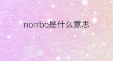 norrbo是什么意思 norrbo的中文翻译、读音、例句