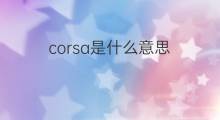 corsa是什么意思 corsa的中文翻译、读音、例句