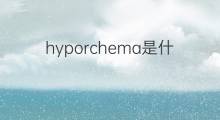 hyporchema是什么意思 hyporchema的中文翻译、读音、例句