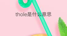 thole是什么意思 thole的中文翻译、读音、例句