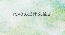 rovato是什么意思 rovato的中文翻译、读音、例句
