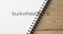 buckwheat是什么意思 buckwheat的中文翻译、读音、例句
