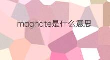magnate是什么意思 magnate的中文翻译、读音、例句