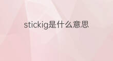 stickig是什么意思 stickig的中文翻译、读音、例句
