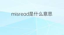 misread是什么意思 misread的中文翻译、读音、例句