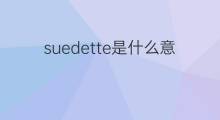 suedette是什么意思 suedette的中文翻译、读音、例句