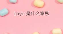 bayer是什么意思 bayer的中文翻译、读音、例句