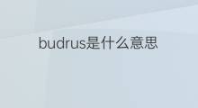 budrus是什么意思 budrus的中文翻译、读音、例句