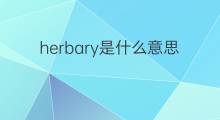 herbary是什么意思 herbary的中文翻译、读音、例句