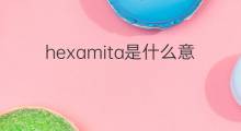 hexamita是什么意思 hexamita的中文翻译、读音、例句