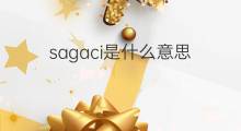 sagaci是什么意思 sagaci的中文翻译、读音、例句