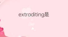 extraditing是什么意思 extraditing的中文翻译、读音、例句