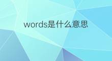 words是什么意思 words的中文翻译、读音、例句
