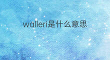 walleri是什么意思 walleri的中文翻译、读音、例句